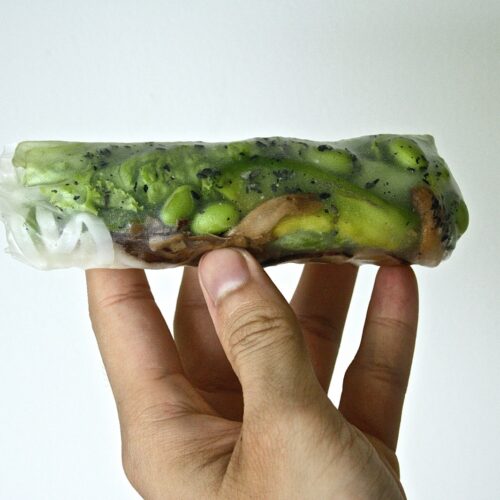 A vegan vietnamese spring roll being held up in the air