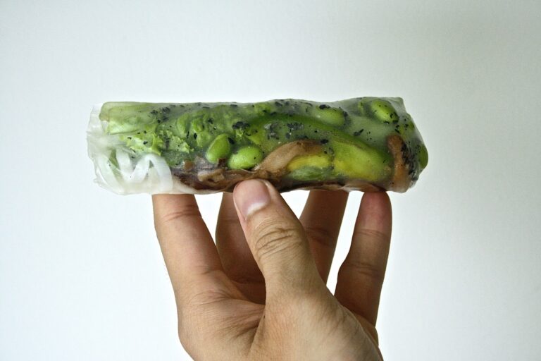 A vegan vietnamese spring roll being held up in the air