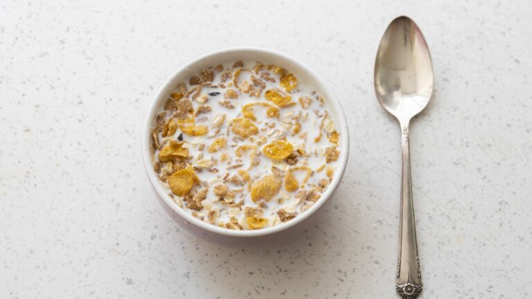 A vegan friendly breakfast cereal in a bowl with vegan milk